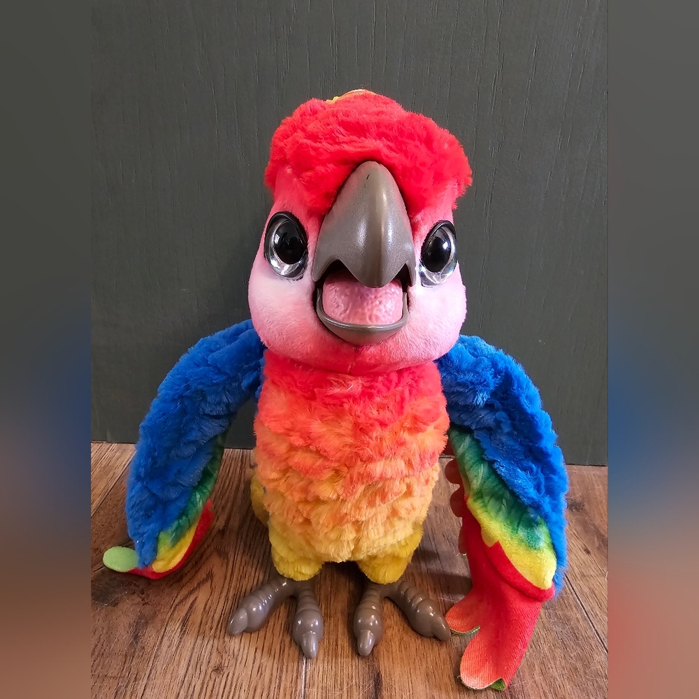 Fureal rock-a-too the show bird